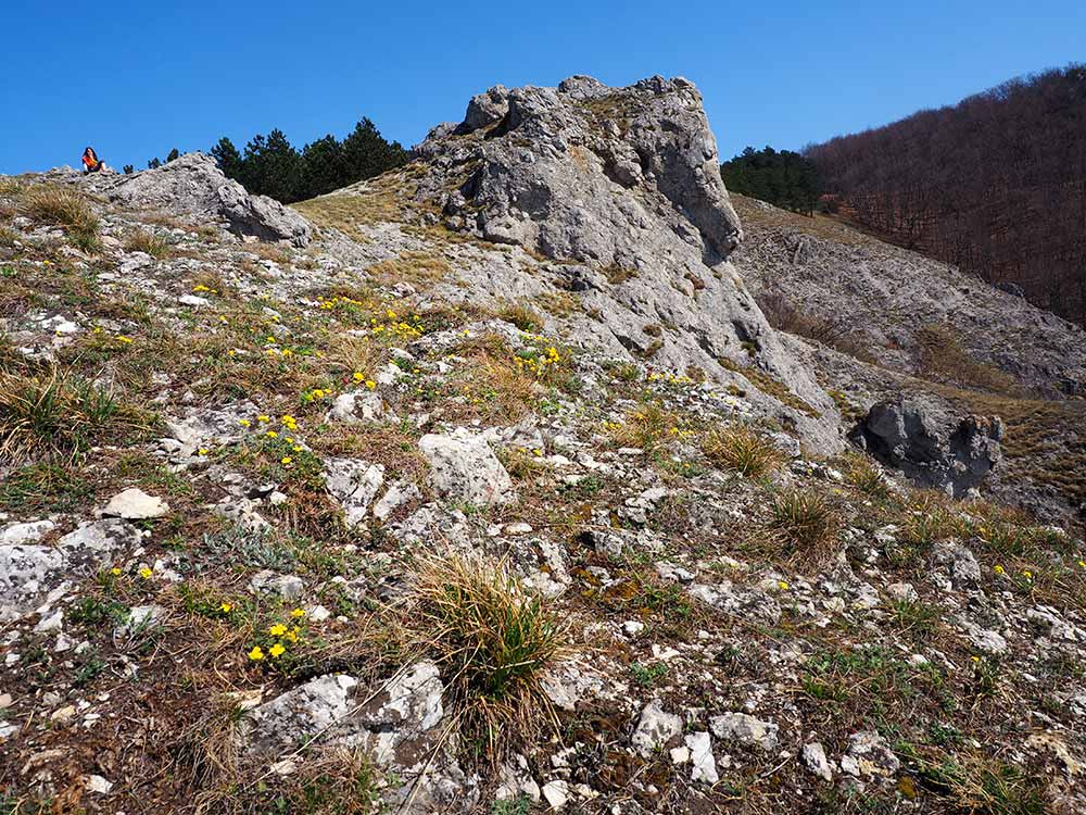 Posedenia v Malých Karpatoch