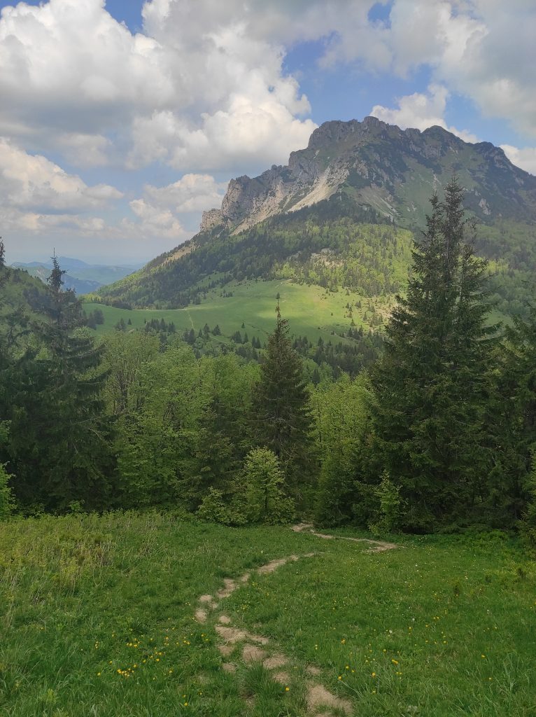 Osnica