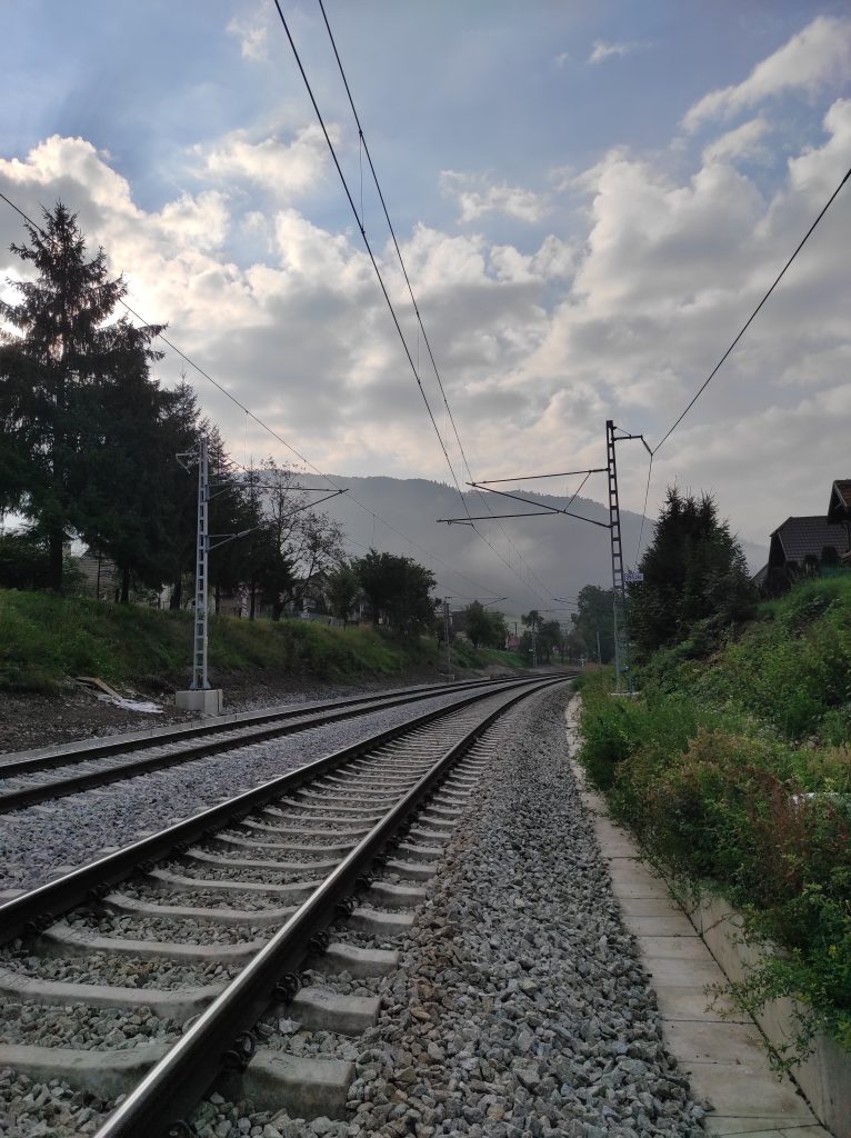 Stankovany