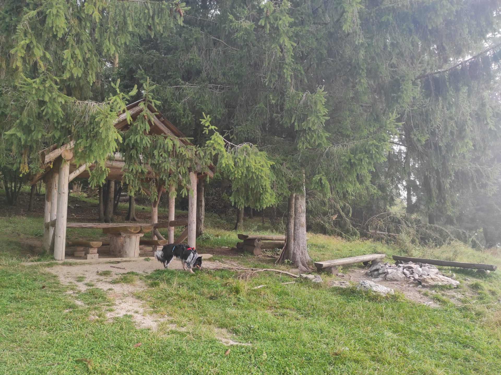 Stankovany