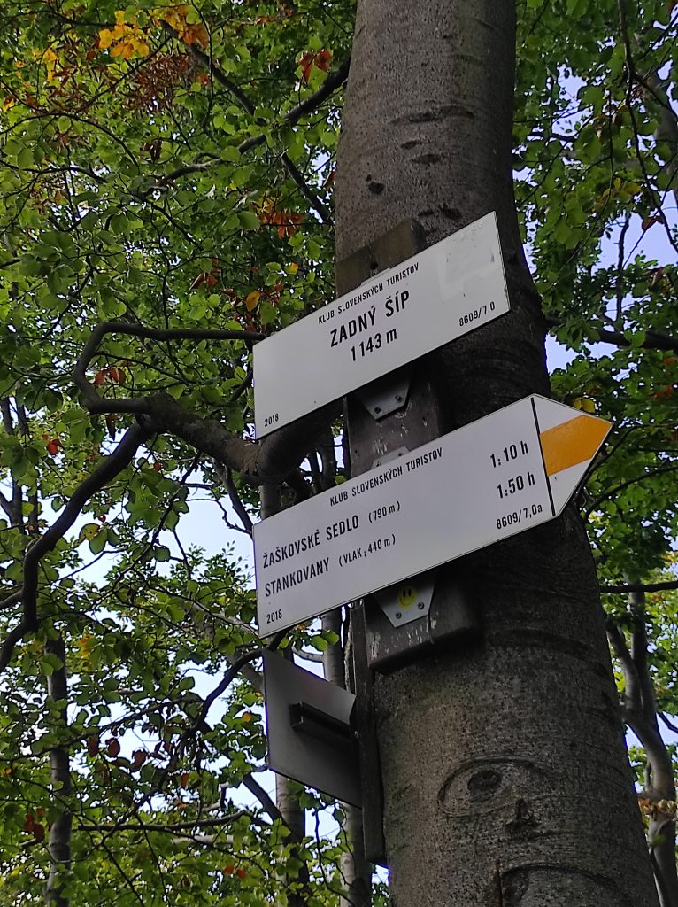 Zadný Šíp