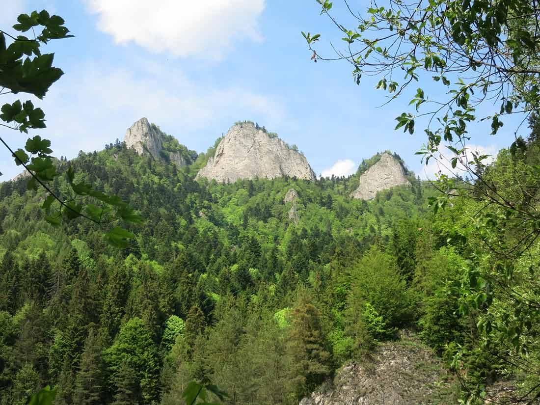 3 Koruny