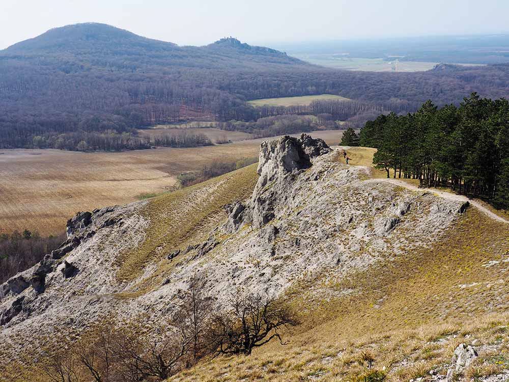 Výstup na Jeleniu Horu – pohľad na Plavecký hrad