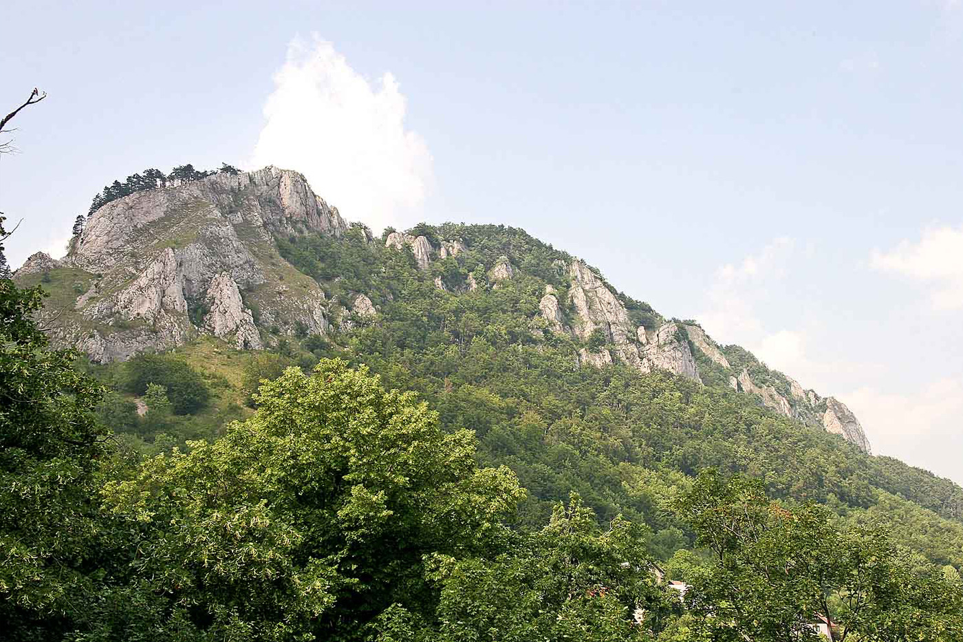 Base image - 370681